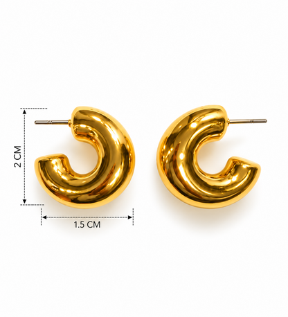 Chunky Gold Hoop Earrings